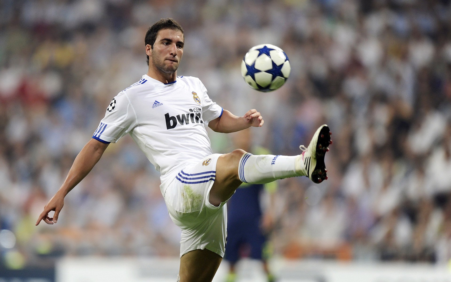 上海海港青训营培养新星，上海上港青训招生条件